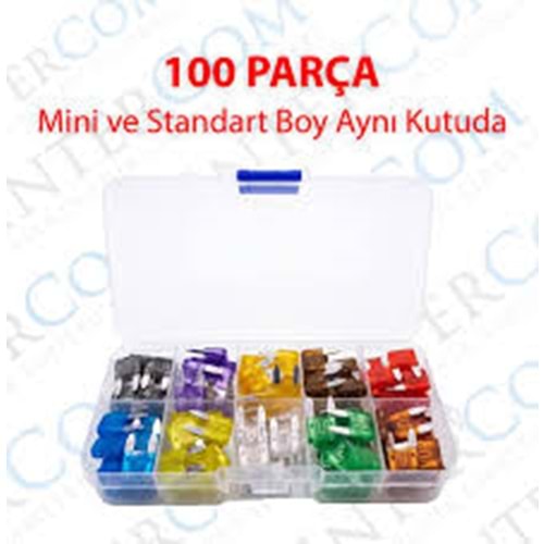 IC-274B-1 Kutulu Mini Oto Bıçak Sigorta Seti 100 Parça